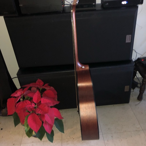 Michell guises - Picture 4 of 6